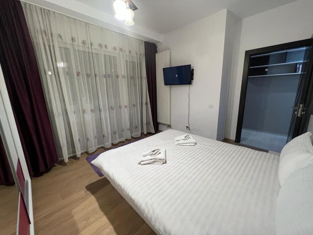 Tudor Central Apartment Mihai Viteazu Square Kluž Exteriér fotografie